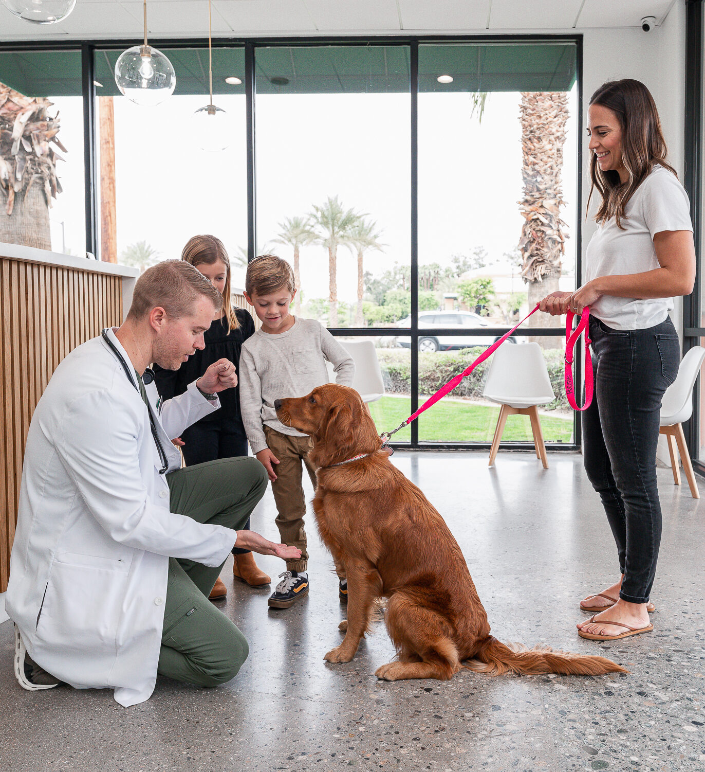 Veterinarian in Rancho Mirage, CA