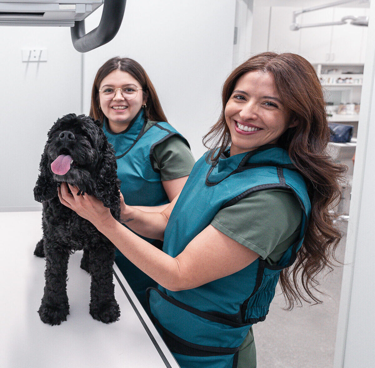 Veterinarian in Rancho Mirage, CA